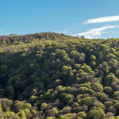 Casucas De Somavia * San Miguel de Aguayo